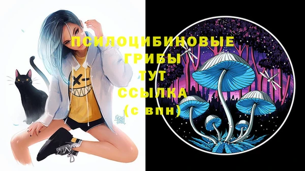 скорость Алексеевка